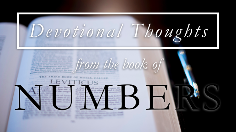 The Burden of Leadership (Numbers 20)