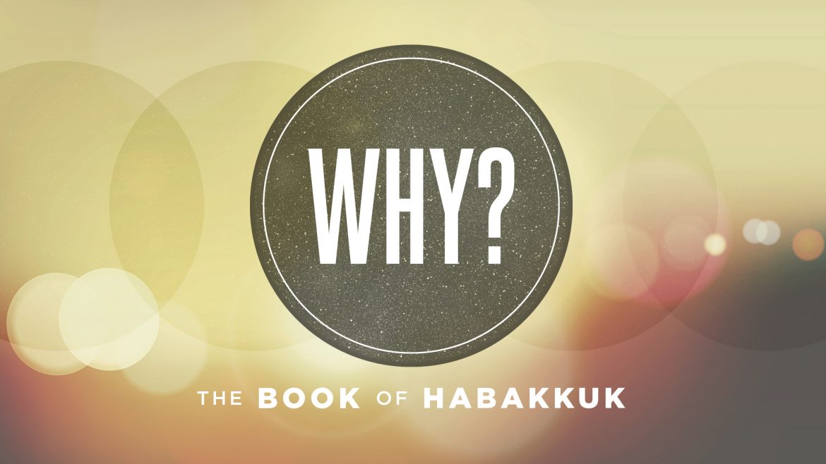 From Burdened to Bounding – Hab 3