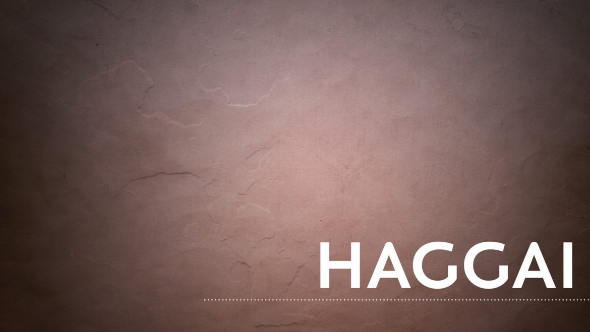 See the Bigger Picture – Haggai 2:20-23